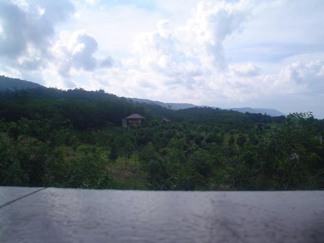 Large_wa01