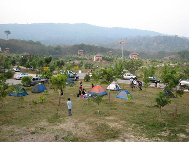 Large_tt419