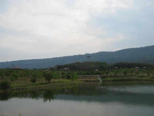 Large_tt7457