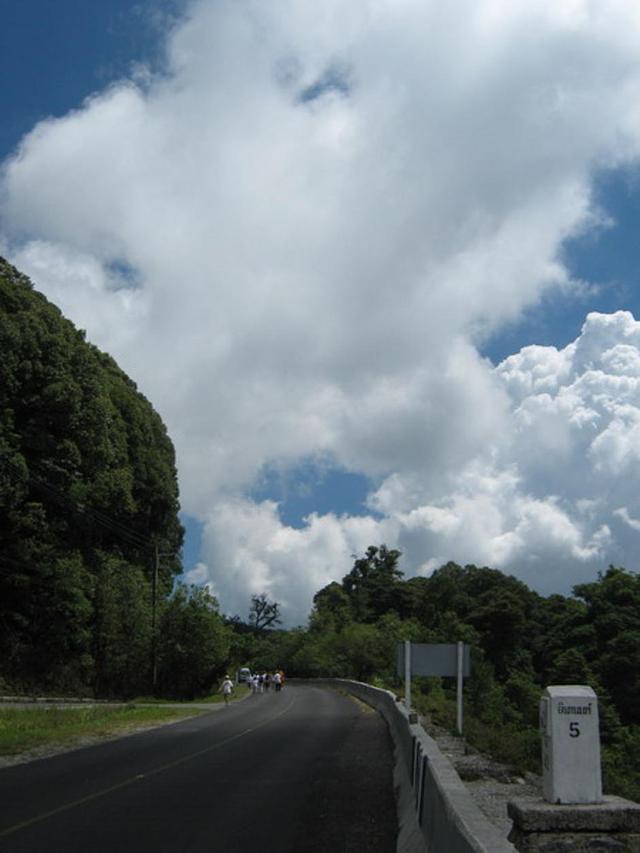 Large_td051