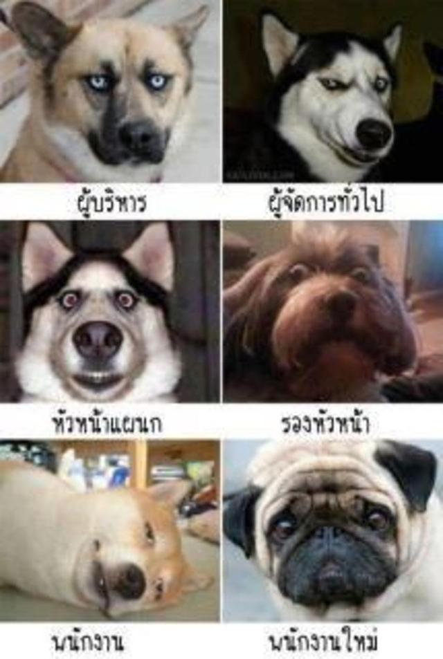 แล้วจะก้าวไปได้อย่างไร